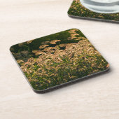 Wilde gier (Panicum Sp.) Teelt in wetland Drankjes Onderzetter (Linkerzijde)