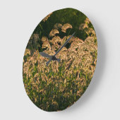 Wilde gier (Panicum Sp.) Teelt in wetland Grote Klok (Hoek)