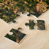 Wilde gier (Panicum Sp.) Teelt in wetland Legpuzzel (Zijkant)
