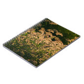 Wilde gier (Panicum Sp.) Teelt in wetland Notitieboek (Linkerzijde)