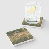 Wilde gier (Panicum Sp.) Teelt in wetland Stenen Onderzetter (Zijkant)