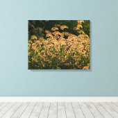 Wilde Gierst (Panicum Sp.) Groeiend In Wetland Canvas Afdruk (Insitu (Houten vloer))