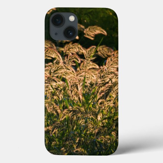 Wilde Gierst (Panicum Sp.) Groeiend In Wetland Case-Mate iPhone Case (Achterkant)