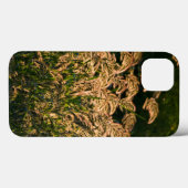 Wilde Gierst (Panicum Sp.) Groeiend In Wetland Case-Mate iPhone Case (Achterkant (horizontaal))