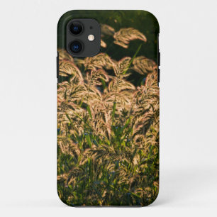 Wilde Gierst (Panicum Sp.) Groeiend In Wetland iPhone 11 Hoesje