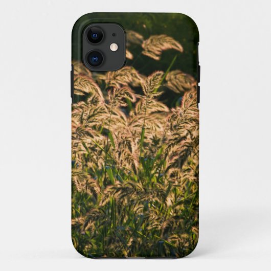 Wilde Gierst (Panicum Sp.) Groeiend In Wetland Case-Mate iPhone Case (Achterkant)