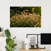 Wilde Gierst (Panicum Sp.) Groeiend In Wetland Poster (Thuiskantoor)
