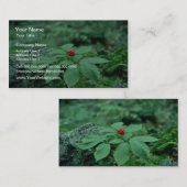 Wilde ginseng (Panax Quinquefolius) bloemen Visitekaartje (Voorkant / Achterkant)