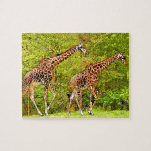 Wilde Giraffes - Afrikaanse wilde dieren Legpuzzel