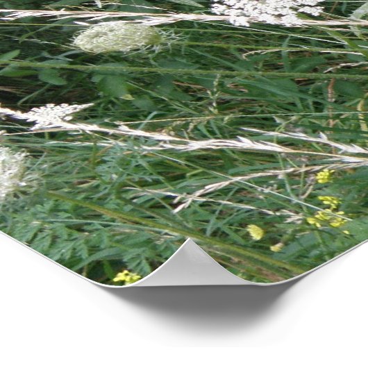 Wilde grassen afdrukken poster (Hoek)