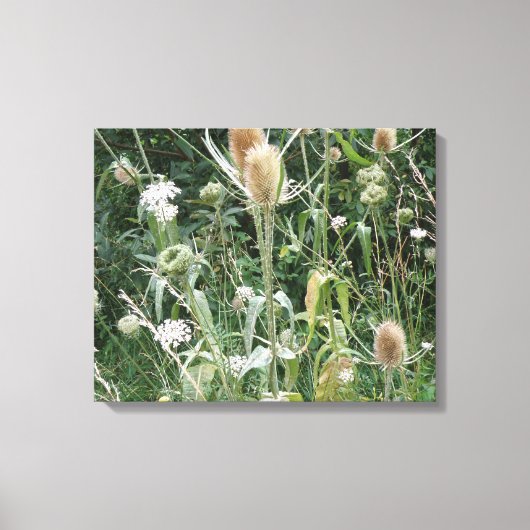 Wilde grassen Canvas afdrukken (Voorkant)