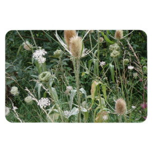Wilde grassen Premium Magnet Magneet