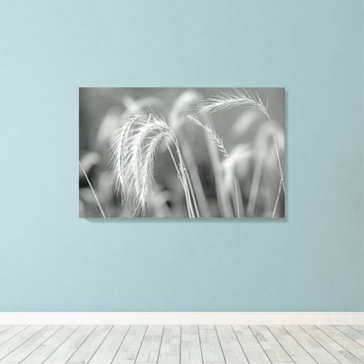 Wilde grassen - zwart en wit canvas afdruk (Insitu (Houten vloer))