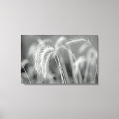 Wilde grassen - zwart en wit canvas afdruk (Voorkant)
