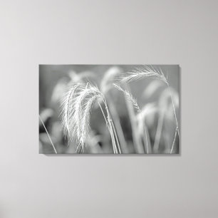 Wilde grassen - zwart en wit canvas afdruk
