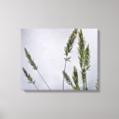 Wilde graszaad canvas afdruk (Voorkant)