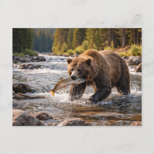 Wilde Grijze Beer Die Visvangt Briefkaart
