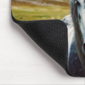 Wilde grijze paarden in de bergen muismat (Hoek)