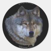 WILDE GRIJZE WOLF STICKERS (Voorkant)