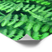 Wilde Groene Bladachtige Varens Abstract       Poster (Hoek)