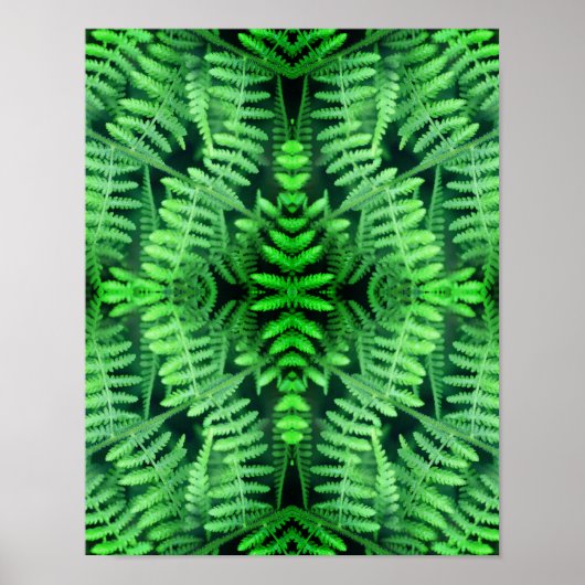Wilde Groene Bladachtige Varens Abstract       Poster (Voorkant)