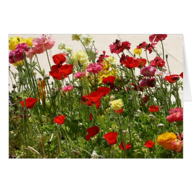 Wilde grond (Voorkant Horizontaal)