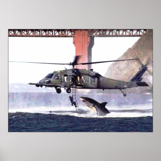 Wilde haaienPoster Poster (Voorkant)