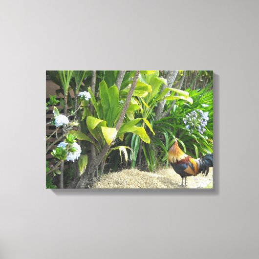 Wilde Haan Canvas Afdruk (Voorkant)