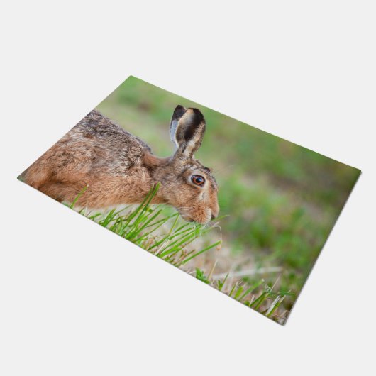 Wilde haas die in het Verenigd Koninkrijk gras eet Deurmat (Schuin)