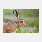 Wilde haas die in het Verenigd Koninkrijk gras eet Deurmat (Voorkant)
