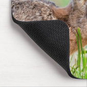 Wilde haas die in het Verenigd Koninkrijk gras eet Muismat (Hoek)