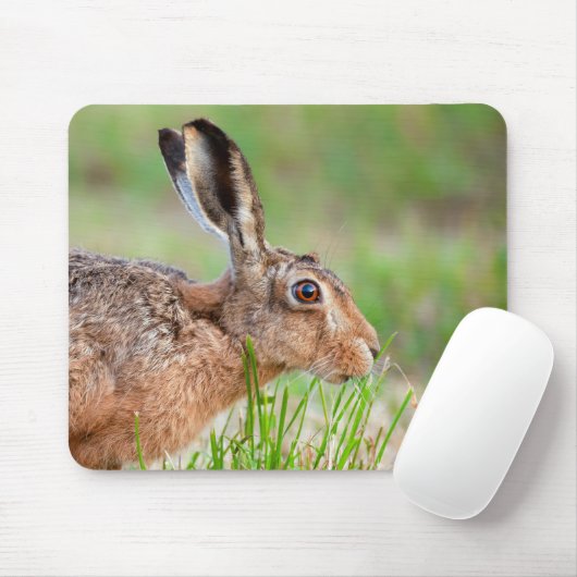 Wilde haas die in het Verenigd Koninkrijk gras eet Muismat (Met muis)