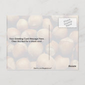 Wilde hazelnoot briefkaart (Achterkant)