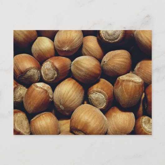 Wilde hazelnoot briefkaart (Voorkant)