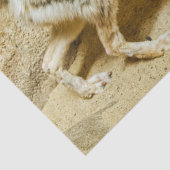 wilde heksenvos tissuepapier (Detail)