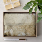 wilde heksenvos tissuepapier (Geschenk)