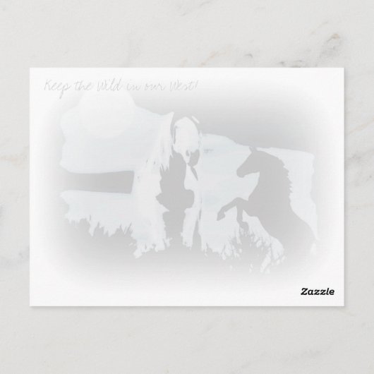 wilde hengst Briefkaart (Achterkant)