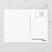 wilde hengst briefkaart (Achterkant)