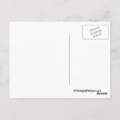 wilde hengst briefkaart (Achterkant)