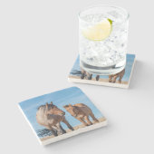 Wilde hengst en wild Mustang veulen Stenen Onderzetter (Zijkant)