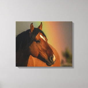 Wilde hengst, gouden licht en regenboog canvas afdruk