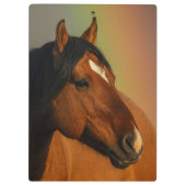 Wilde hengst, Gouden Licht en Regenboog Klembord (Achterkant)