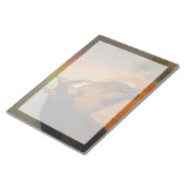 Wilde hengst, gouden licht en regenboog notitieblok (Schuin)