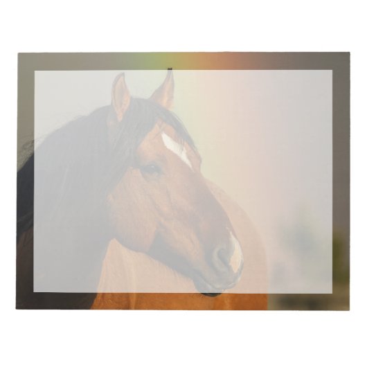 Wilde hengst, gouden licht en regenboog notitieblok (Voorkant)