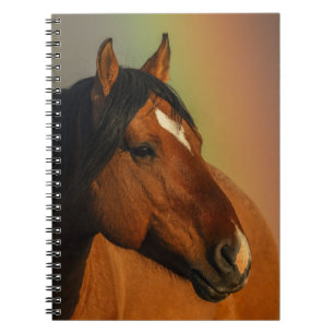 Wilde hengst, Gouden Licht en Regenboog Notitieboek