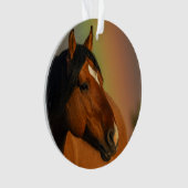 Wilde hengst, gouden licht en regenboog ornament (voorkant)