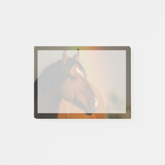 Wilde hengst, Gouden Licht en Regenboog Post-it® Notes (Voorkant)