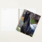 Wilde hengst in Utah Planner (Display)