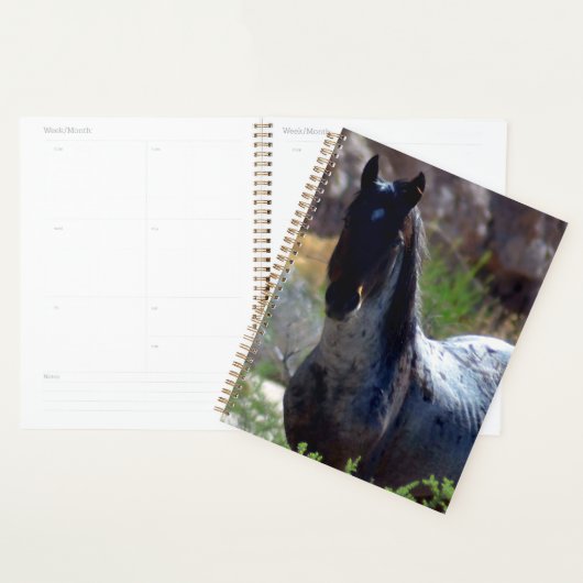 Wilde hengst in Utah Planner (Display)
