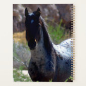 Wilde hengst in Utah Planner (Achterkant)